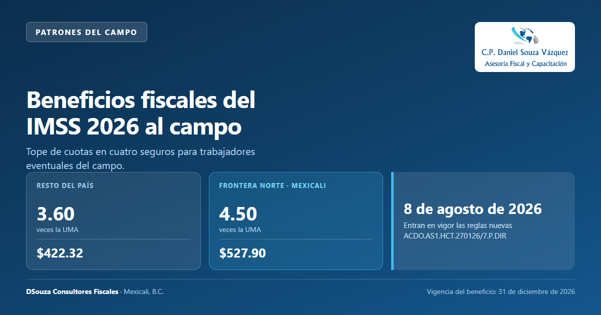 Vista previa del Beneficios fiscales IMSS 2026 al campo | DSouza